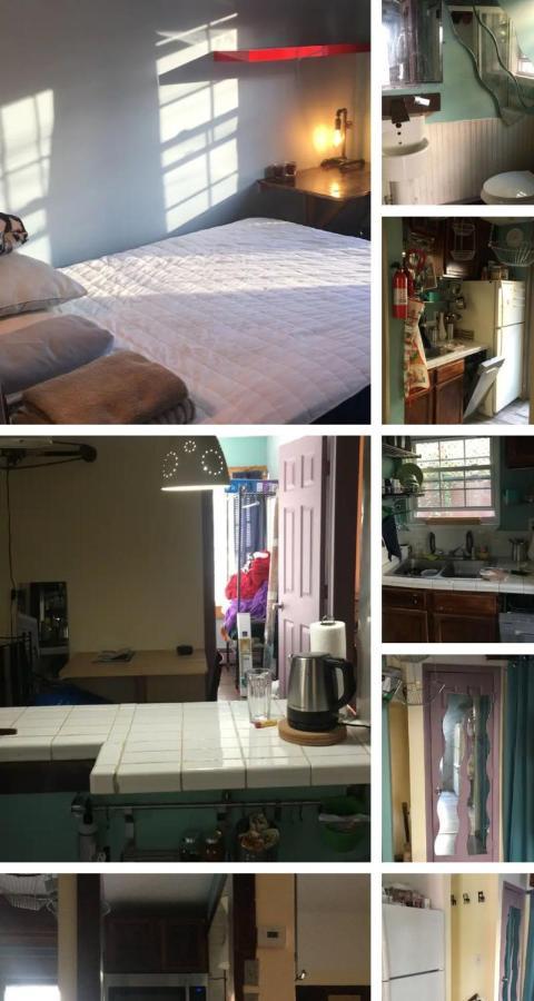 Rock Pad For Yale, Visitors, Nurses, Staff Apartment นิวเฮฟเวน ภายนอก รูปภาพ